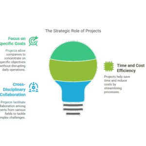 Introduction to Project Management: Turning Ideas into Successful Projects