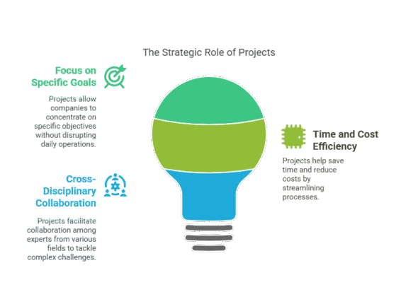 How Projects Fit into the Parent Organization. - visual selection (3)